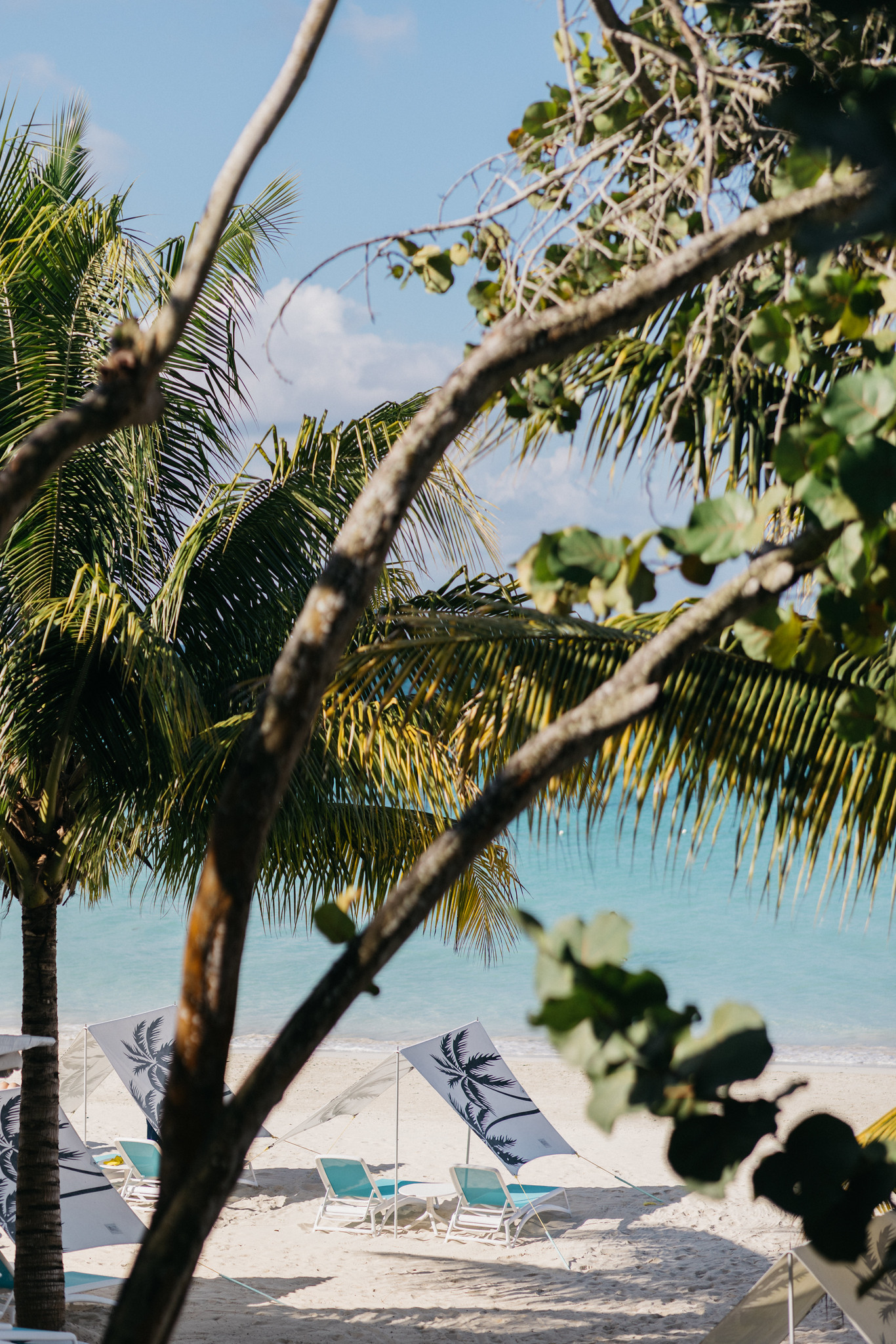 Tranquil beach scene at Rockhouse Hotel in Negril, Jamaica, with palm trees framing shaded loungers and teal chairs set along soft white sand beside the calm, turquoise Caribbean Sea