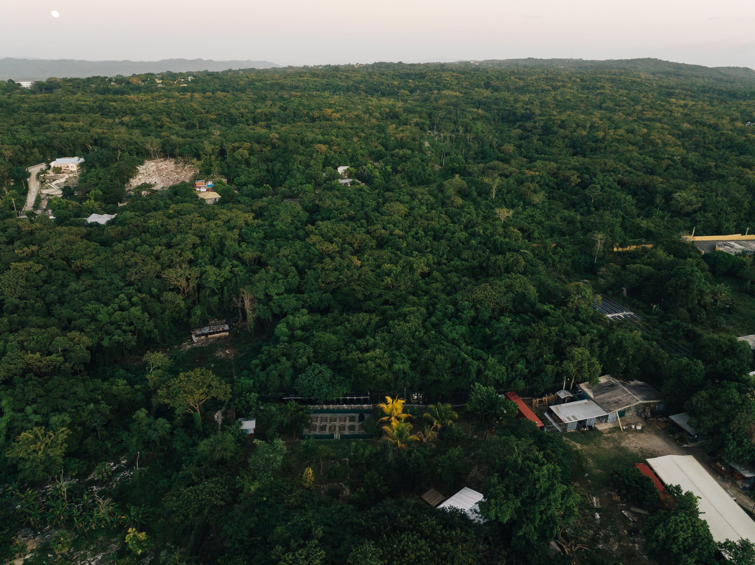 Panoramic drone view of Negril’s coastline near Rockhouse Hotel, Jamaica.