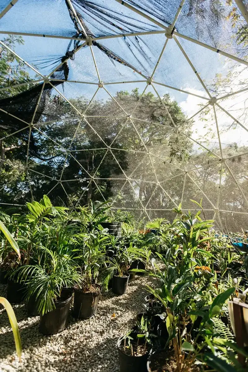 Plant nursery inside a geodesic dome at Rockhouse Hotel in Negril, Jamaica, highlighting the on-site garden and sustainable practices at Rockhouse Hotel.
