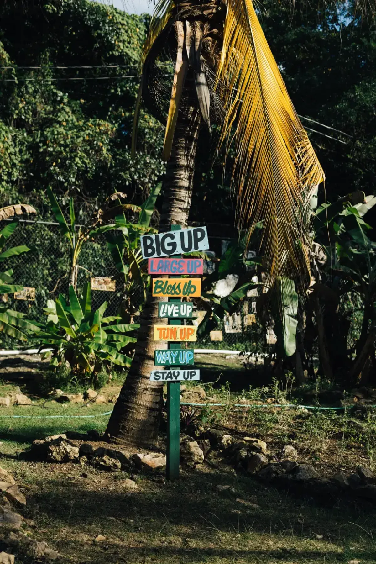 an image of colorful hand painted signs that decorate the Rockhouse Organic Farm Tour at the Rockhouse Hotel in Negril