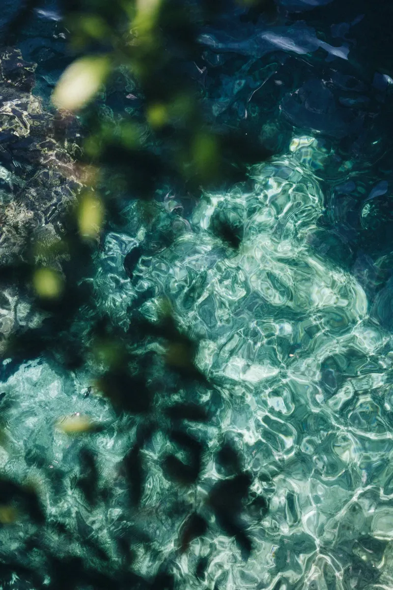 An underwater view of a diver exploring a colorful coral reef near Rockhouse Hotel in Negril, Jamaica, highlighting the vibrant marine life and the resort's location on the clear Caribbean Sea.