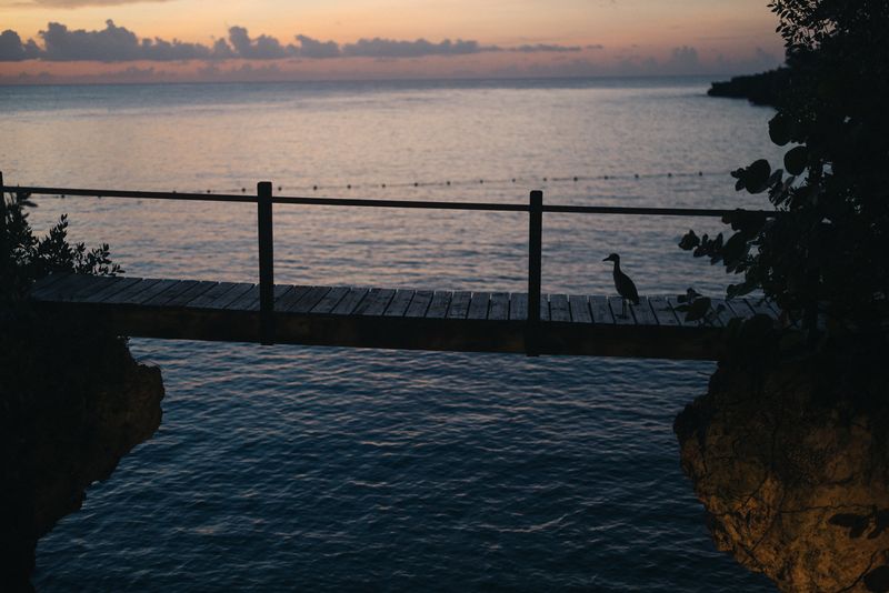 A wooden bridge stretching between two cliffs at Rockhouse Hotel in Negril, Jamaica, silhouetted at sunset with a lone bird perched against the calm, glowing sea.