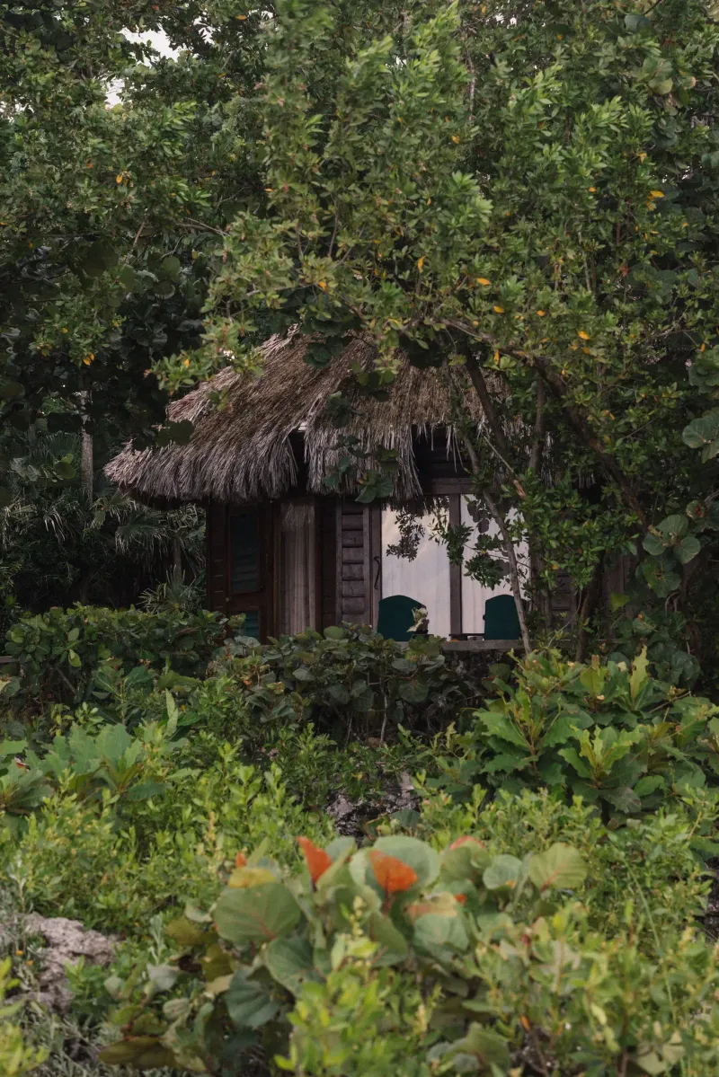 A scenic shot of the lush, green pathways and tropical flowers at The Caves Hotel , leading toward a serene cliffside area in Negril, Jamaica, highlighting the natural and private atmosphere of the resort.