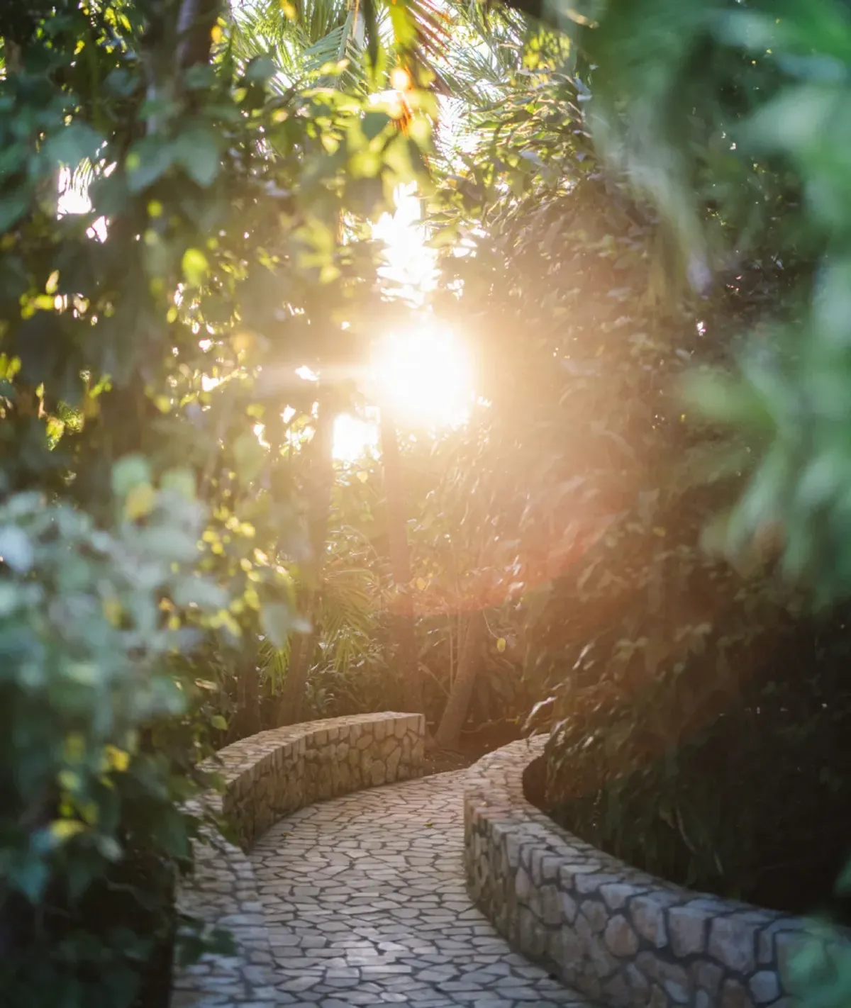 Sunlit garden pathway surrounded by lush tropical foliage at Rockhouse Hotel in Negril, Jamaica, offering a tranquil resort experience in the Caribbean.