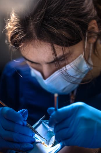 Dentist performing precise dental procedure using advanced tools and techniques – LIV Dentistry