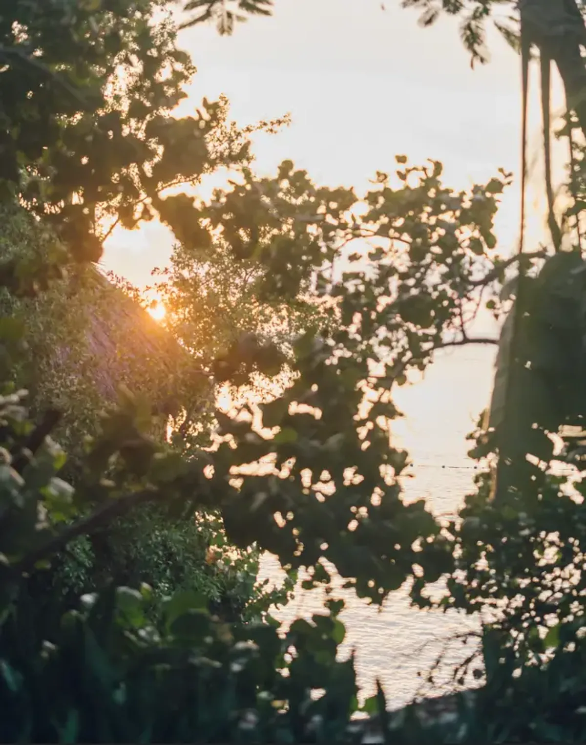 Sunset over the lush cliffs near Rockhouse Hotel in Negril, Jamaica, with the golden light reflecting on the calm Caribbean sea—a serene coastal view.