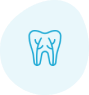 tooth with roots